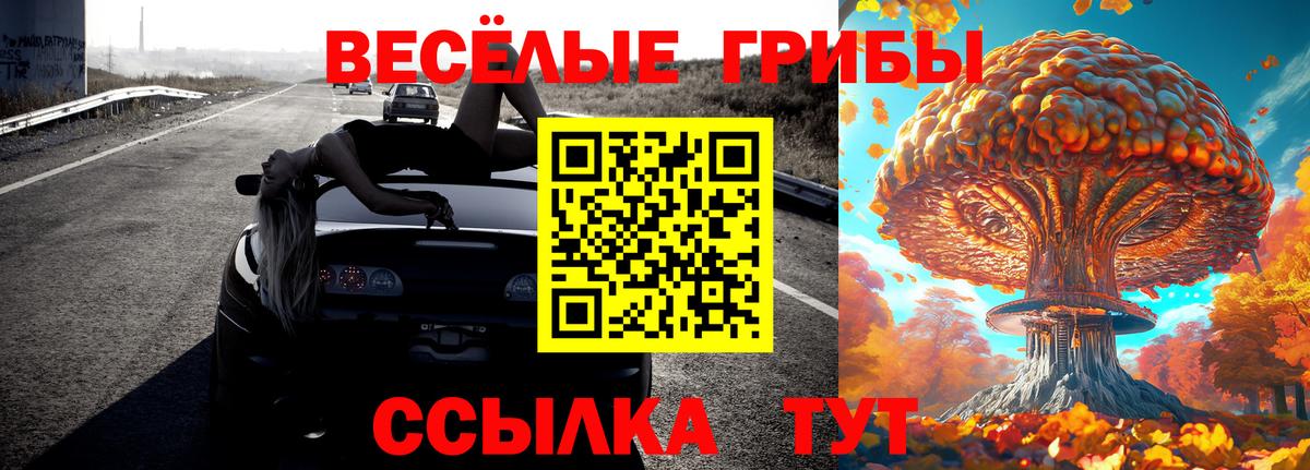 Галлюциногенные грибы ЛСД Старая Русса