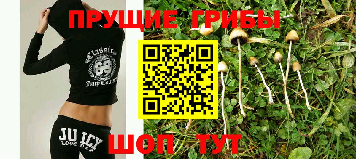 продажа наркотиков  Галлюциногенные грибы Cubensis  Вход с VPN  Старая Русса 